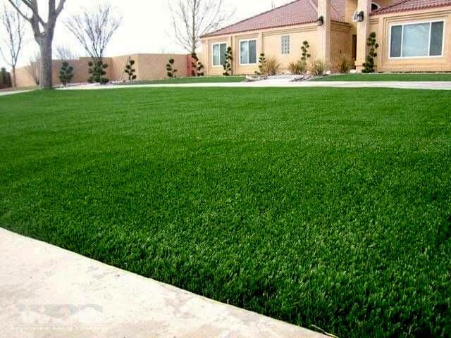 Фото 2. Спортивный газон.jpg