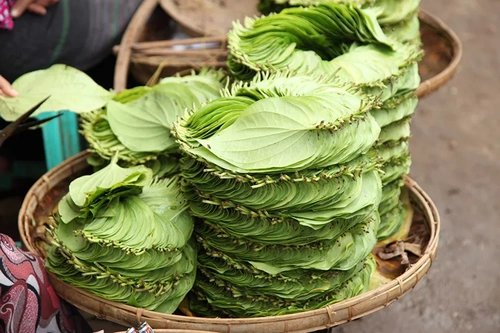 Пачка листьев Бетеля Пачка листьев Бетеля