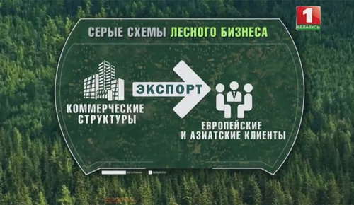 Переработка и продажа древесины на экспорт Переработка и продажа древесины на экспорт