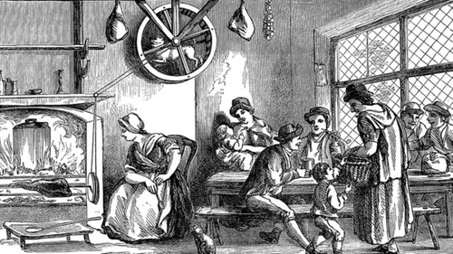 Странная порода собак