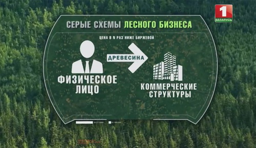 Перепродажа древесины коммерческой структуре Перепродажа древесины коммерческой структуре