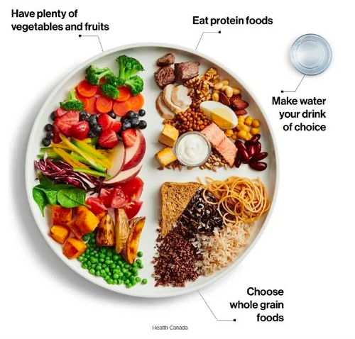 Метод Канадской тарелки наглядно: тарелка, разделенная на части, с разной едой