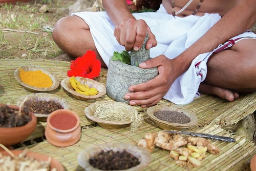 Аюрведическая медицина Аюрведическая медицина