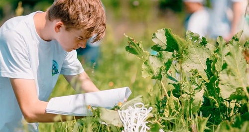 Профессия эколог