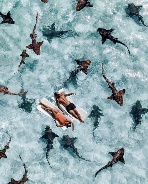 Самые крепкие пары по знакам зодиака. Фото: @weloveourlife фото № 5